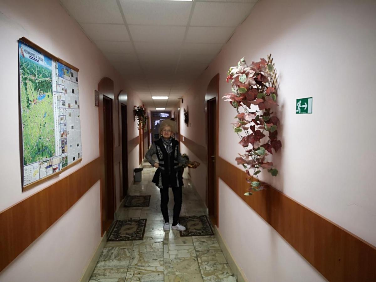 Biela Labut Ξενοδοχείο Μιχάλοβτσε Εξωτερικό φωτογραφία